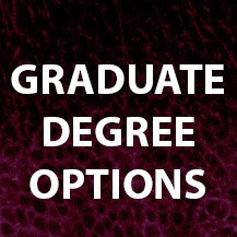 Graduate degree options